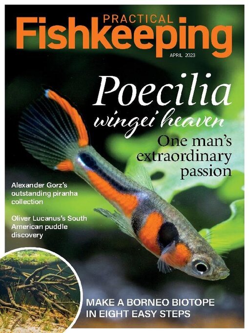 Title details for Practical Fishkeeping by Warners Group Publications Plc - Available